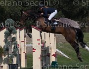 Johansen Lady Catalina TosTour2013- S5 2198 : Arezzo, Arezzo Equestrian Centre, Johansen Ida, LADY CATALINA, Toscana Tour 2013, foto di Stefano Secchi ©